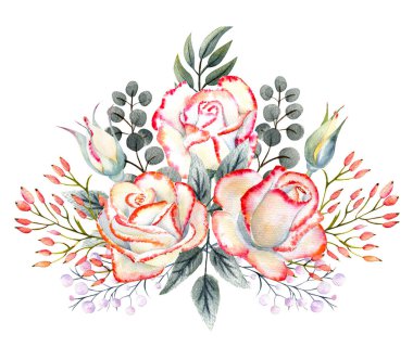 Pembe kenarlı bir buket beyaz gül yapraklar, böğürtlenler, dekoratif dallar. Tebrik kartı, davetiye vesaire için suluboya çizimleri