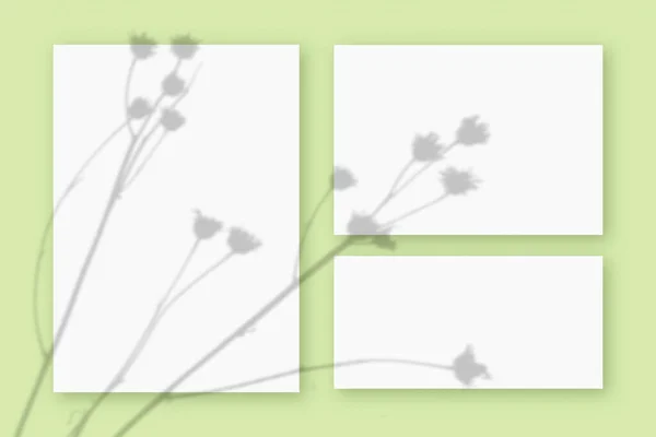 Természetes fény veti árnyékok a növény 3 lap fehér texturált papír formátumban, fekvő zöld texturált háttér. Mockup — Stock Fotó