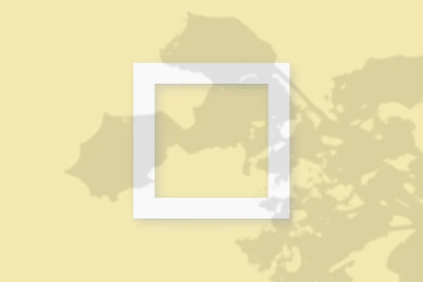 Mockup med vegetabiliska skuggor läggs på fyrkantig ram av texturerat vitt papper på en gul tabell bakgrund — Stockfoto