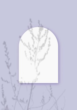 Sebze gölgeli bir maket, menekşe masa arkaplanındaki desenli beyaz kağıt şeklinde bir çarşaf üzerine yerleştirilmiş. Dikey yönelim