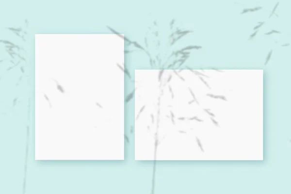 Mockup με σκιές των φυτών επικολλάται σε ένα οριζόντιο και κάθετο φύλλο υφής λευκό χαρτί σε μπλε φόντο πίνακα — Φωτογραφία Αρχείου