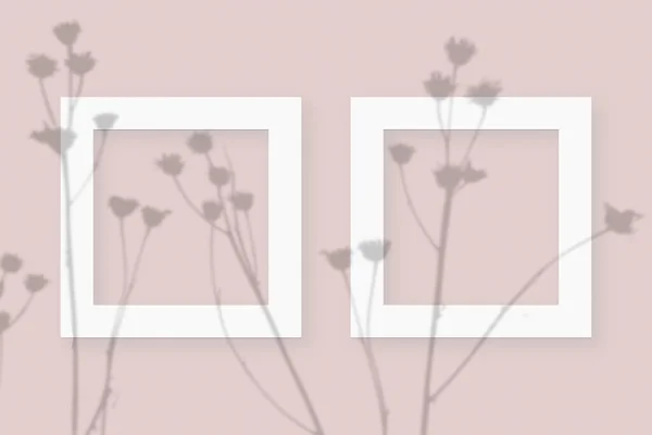 Mockup mit pflanzlichen Schatten auf 2 quadratischen Rahmen aus texturiertem weißem Papier auf rosa Tischhintergrund — Stockfoto