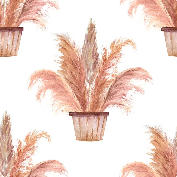 Padrões sem costura com grama pampas em vasos no estilo boho em um fundo isolado branco. Ilustração aquarela — Fotografia de Stock