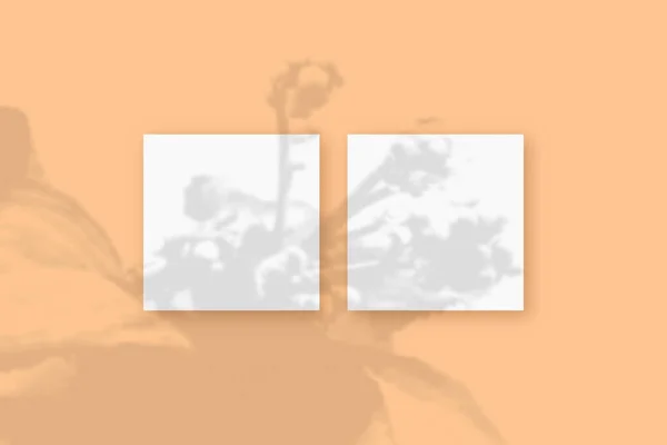 自然光将植物的影子投射在2平方的白纸上，铺在橙色纹理的背景上。莫科普 — 图库照片