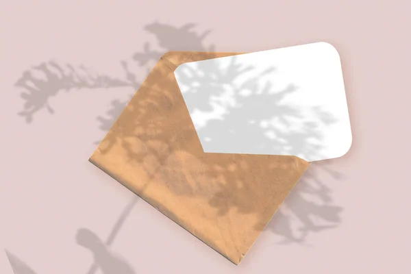 Cahaya alami melemparkan bayangan dari tanaman pada amplop dengan selembar kertas putih yang terletak di latar belakang bertekstur merah muda. Mockup — Stok Foto