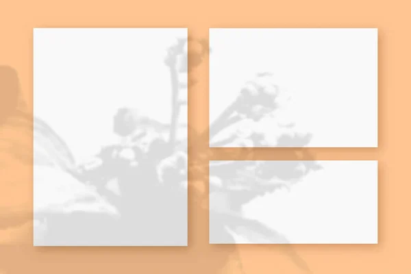 Mockup med växtskuggor överlagrade på 3 horisontella och vertikala ark texturerat vitt papper på en orange tabell bakgrund — Stockfoto