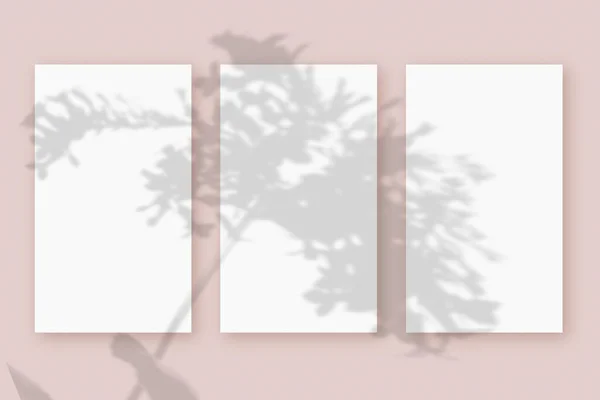 自然光将植物的阴影投射在3张白色纹理纸格式的垂直薄片上，躺在粉色纹理背景上。莫科普 — 图库照片