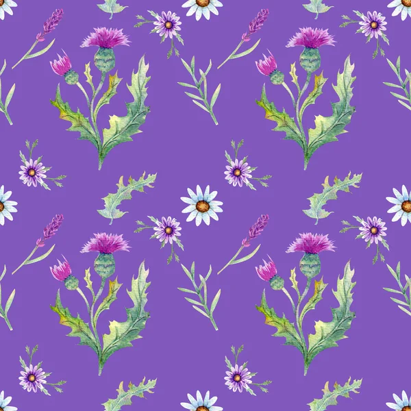 Wild flowers background. Seamless pattern. Wild flowers background Watercolor. — Stock Photo, Image