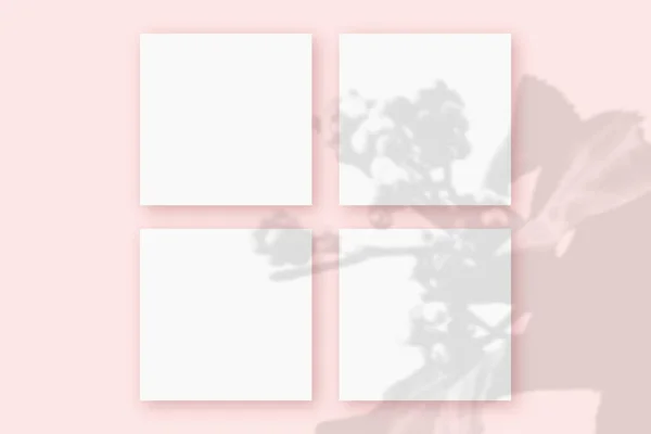 A luz natural lança sombras da planta em 4 folhas quadradas de papel branco deitado em um fundo texturizado rosa. Mockup — Fotografia de Stock