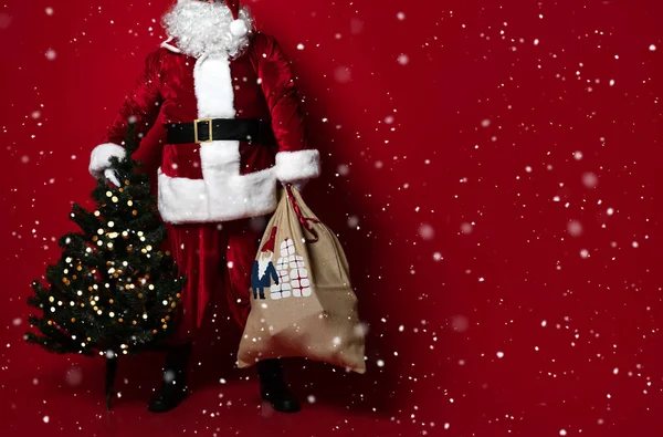 Χοντρός Άγιος Βασίλης με μεγάλη κοιλιά που κουβαλάει ένα βαρύ χριστουγεννιάτικο δέντρο σε κόκκινο φόντο. Νέο έτος και Καλά Χριστούγεννα και καλές γιορτές έννοια — Φωτογραφία Αρχείου