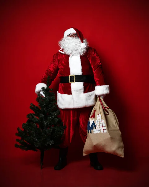 Gros ventre gros Père Noël portant un arbre de Noël lourd sur un fond rouge. Nouvel an et joyeux Noël et heureux concept de vacances — Photo