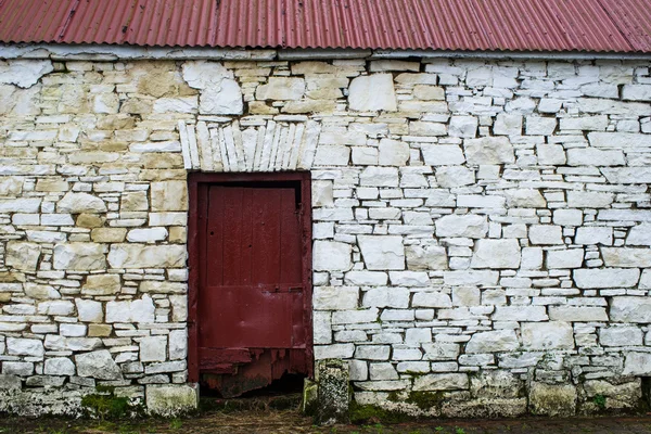 Velha parede de pedra irlandesa e porta de madeira — Fotografia de Stock
