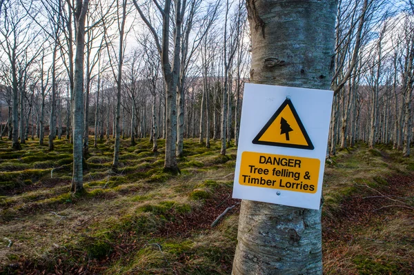 Waarschuwing teken bos — Stockfoto