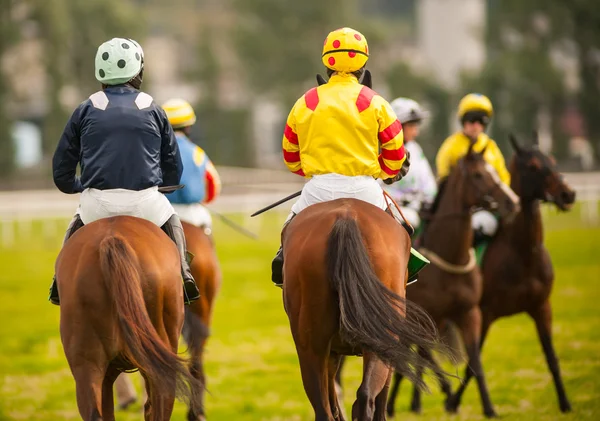 Horse riders on the race track — Stock Photo, Image