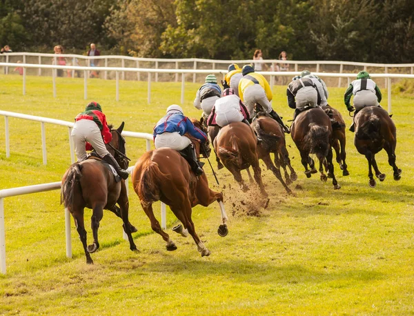 Cavalos correndo pela pista — Fotografia de Stock