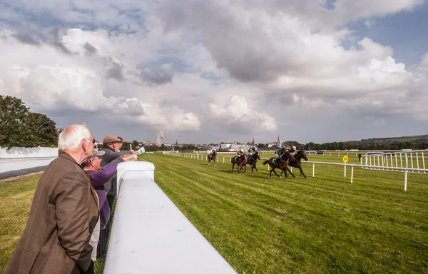 Watching horse race — Stock Photo, Image