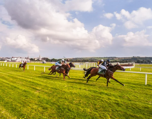 Caballos de carrera en el hogar recto —  Fotos de Stock