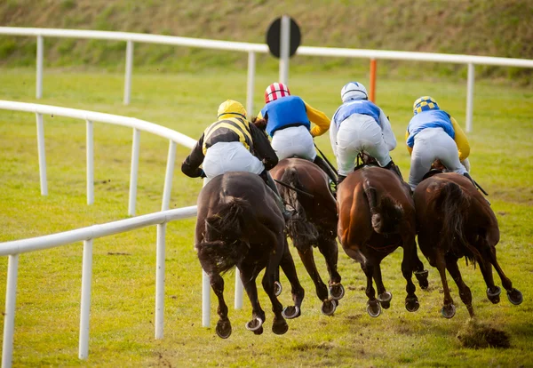 Paarden de track racing — Stockfoto