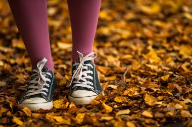 Sonbahar ile yürüyüş arka plan bırakır