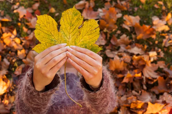 Woman holding up autumn leaf — Stock Photo, Image