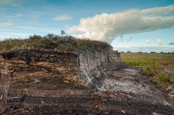 Irish Peat Bog landscape — Stock Photo, Image