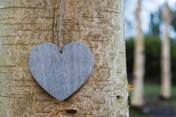 Love heart tree trunk — Stock Photo, Image