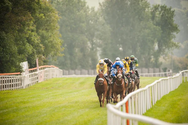 Horse race coming down the track — Stock Photo, Image