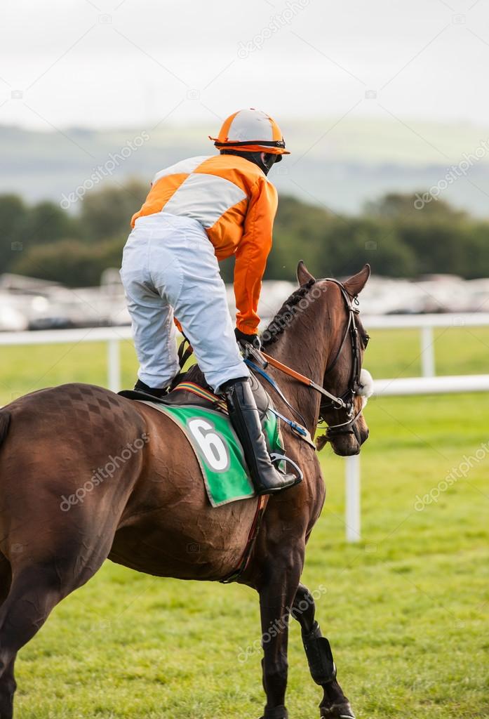 Jockey on race horse going down the track