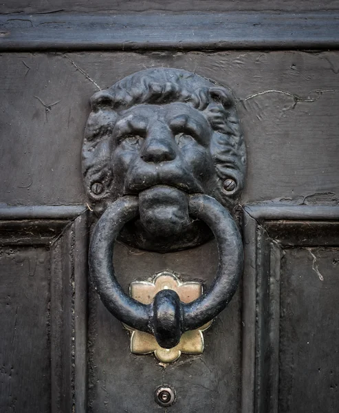 stock image Lion head door knocker