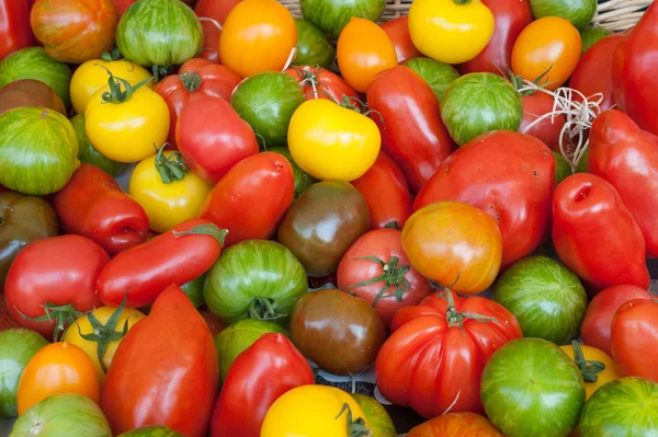 カラフルな新鮮なトマトの背景 ロイヤリティフリーのストック画像