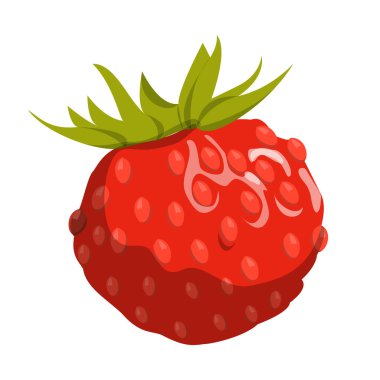 Yabani çilek vektörü izole edildi. Tatlı kırmızı böğürtlen, olgun doğal ürün. Taze meyve, yemyeşil yaprak..