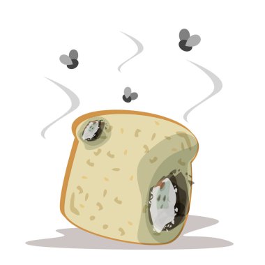 Taze ekmek çürür ve kötü vektör izole olur. Küflü bir ekmek dilimi. Yemek çöpü, kahvaltı için yılan. Ürünün etrafında uçuşan sinekler.