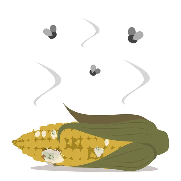 Кукурудза Стає Гнилою Поганий Вектор Ізольований Перезбирати Урожай Фермі Продукт — стоковий вектор