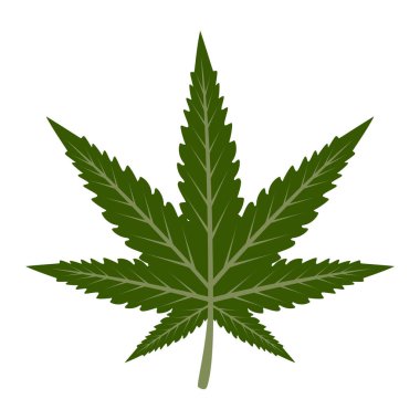 Marihuana yaprağı vektörü izole edildi. Tıbbi yeşil bitki. Narkotiğin sembolü.