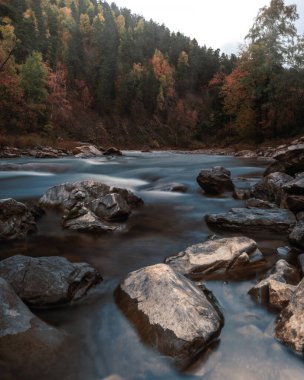 Kayaların arasından akan nehrin güzel manzarası. Ulusal park, nehir manzarası harika. Su akıntısı, arka planda renkli ağaçlar, sonbahar zamanı..