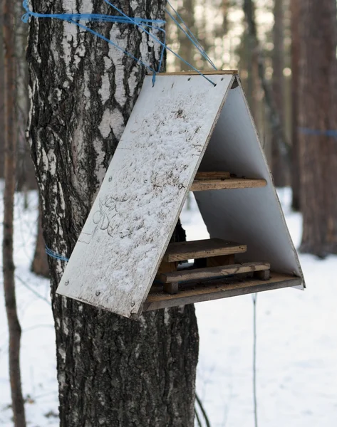 hayvanlar için beslenme bir yalak