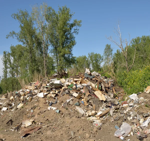 Ormanda Çöp Döküntüsü