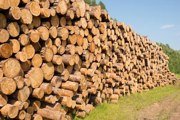 Pile of wood — Stock Photo, Image