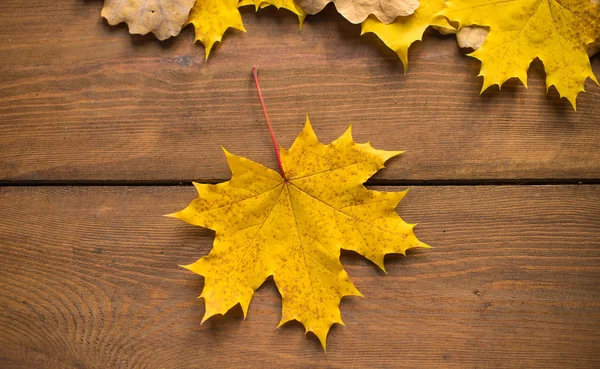 Kahverengi bir tahta üzerinde akçaağaç yaprağı