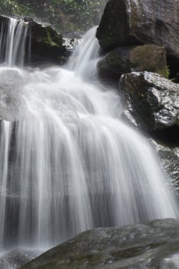 Şelaleler, temiz, güzel, yeşil, bitkiler, yosun, kaya.