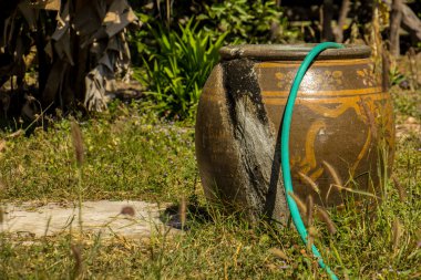 Dragon pişmiş kil, çim, golf, açık havada.