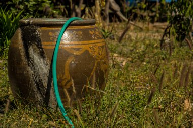 Dragon pişmiş kil, çim, golf, açık havada.