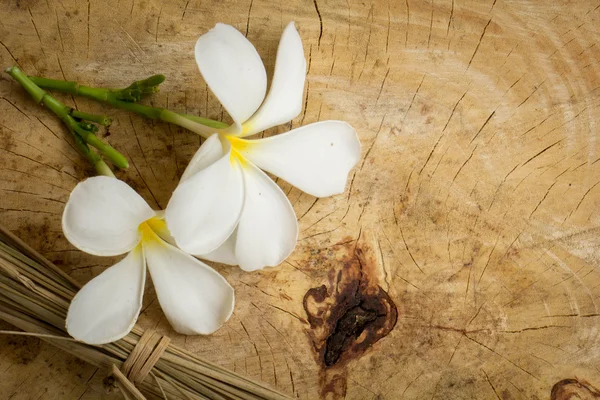 Λευκό plumeria κλασικό καφέ ξύλινη επιφάνεια πατωμάτων. — Φωτογραφία Αρχείου