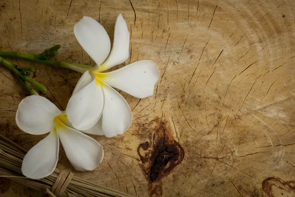 Λευκό plumeria κλασικό καφέ ξύλινη επιφάνεια πατωμάτων. — Φωτογραφία Αρχείου