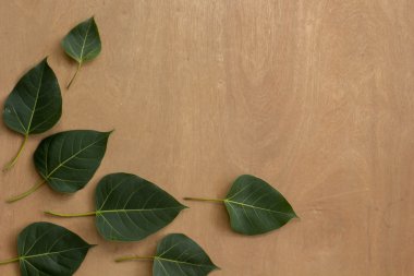 Yaprakları, ahşap, doku, yaprak yeşil, kahverengi zemin.