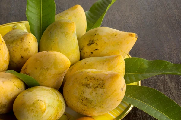 Mango wood floors, green leaves, yellow leaves. — Stock Photo, Image