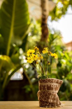Pamuk sarılmış güzel sarı çiçekler.
