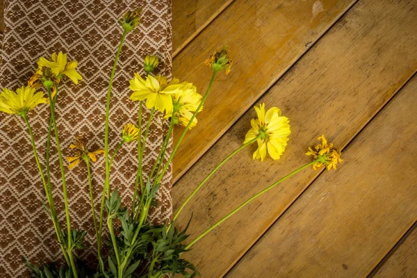 布で包まれた美しい黄色の花. — ストック写真