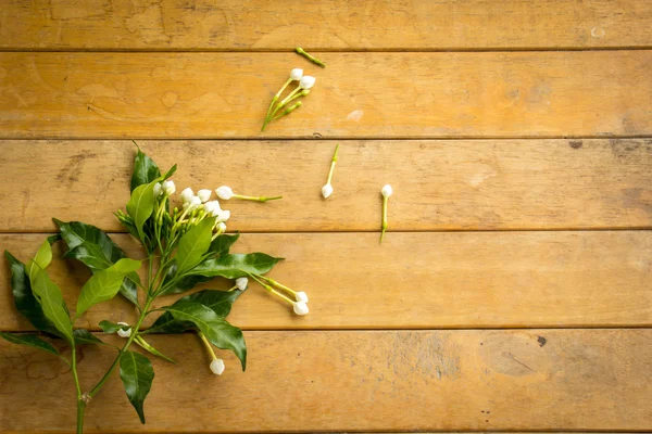 Flores brancas colocadas em uma mesa de madeira . — Fotografia de Stock