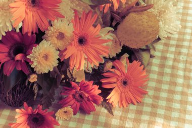 Gerbera Vintage güzellik yaz.